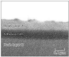Ejemplo de observación de la sección transversal de una película polarizada mediante un TEM