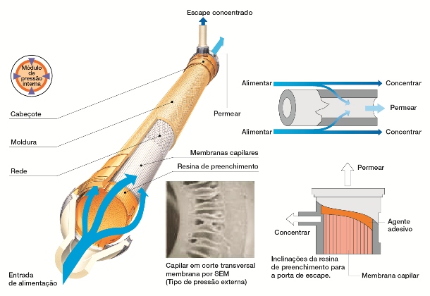 membrane image capillary external