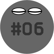 #06