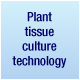 Plant tissue culture technology