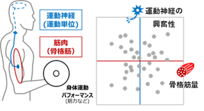 Flexible sensor functions_001
