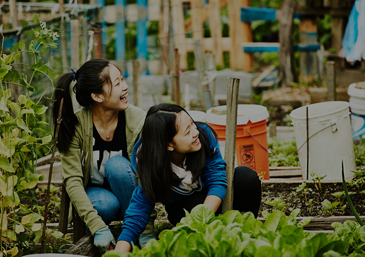 Nittoのサステナビリティ