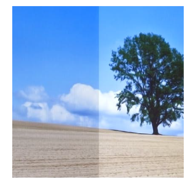 image photo