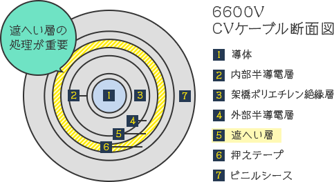 6600V CVケーブル断面図